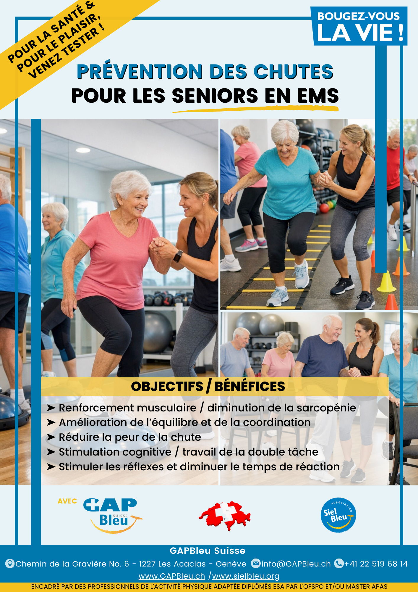 LE GRAND AGE (EMS)
